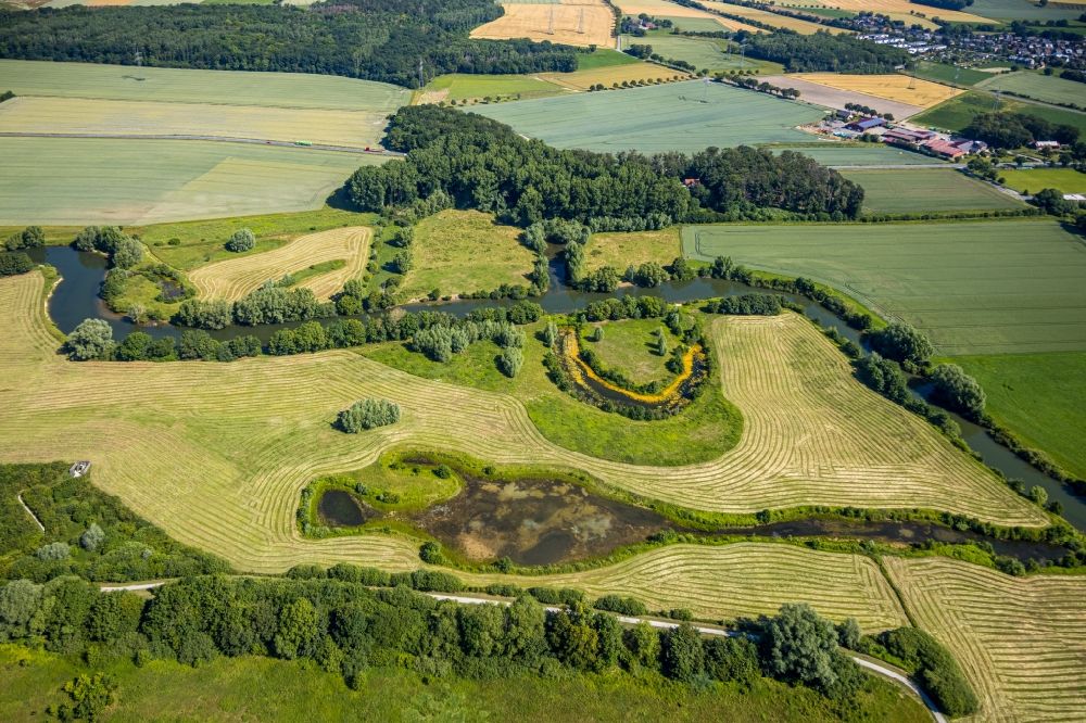 Aerial photograph Dolberg - Grassland structures of a meadow and field landscape in the lowland of Lippe river in Dolberg in the state North Rhine-Westphalia, Germany