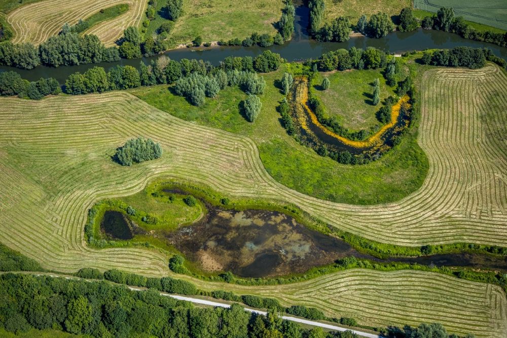 Dolberg from above - Grassland structures of a meadow and field landscape in the lowland of Lippe river in Dolberg in the state North Rhine-Westphalia, Germany