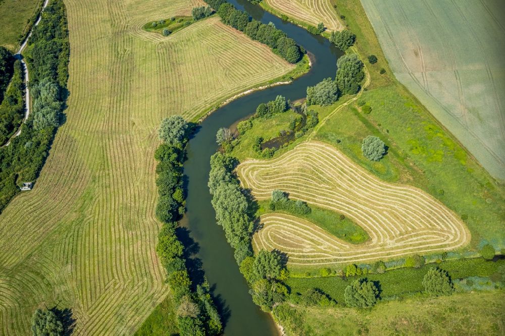 Aerial image Dolberg - Grassland structures of a meadow and field landscape in the lowland of Lippe river in Dolberg in the state North Rhine-Westphalia, Germany