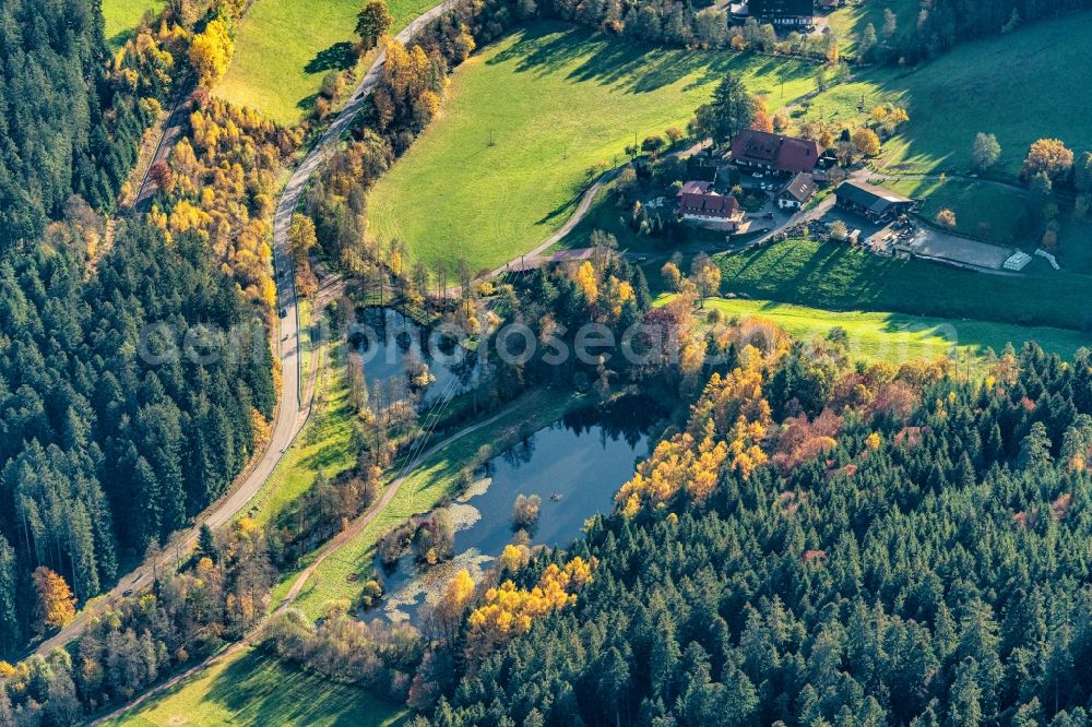 Alpirsbach from above - Grassland structures of a meadow and field landscape in the lowland and Weiher of oberen Kinzig in Alpirsbach in the state Baden-Wuerttemberg, Germany