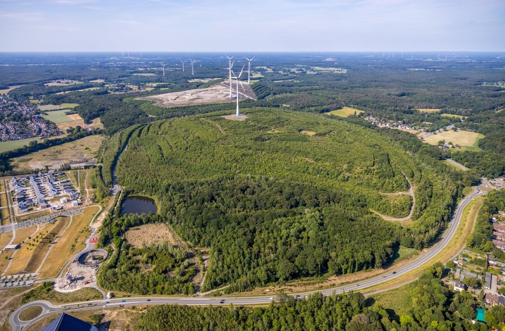 Dinslaken from above - Wind energy plants (WEA) with wind power plants of Halde Lohberg in a forest area in the district Oberlohberg in Dinslaken at Ruhrgebiet in the state North Rhine-Westphalia, Germany