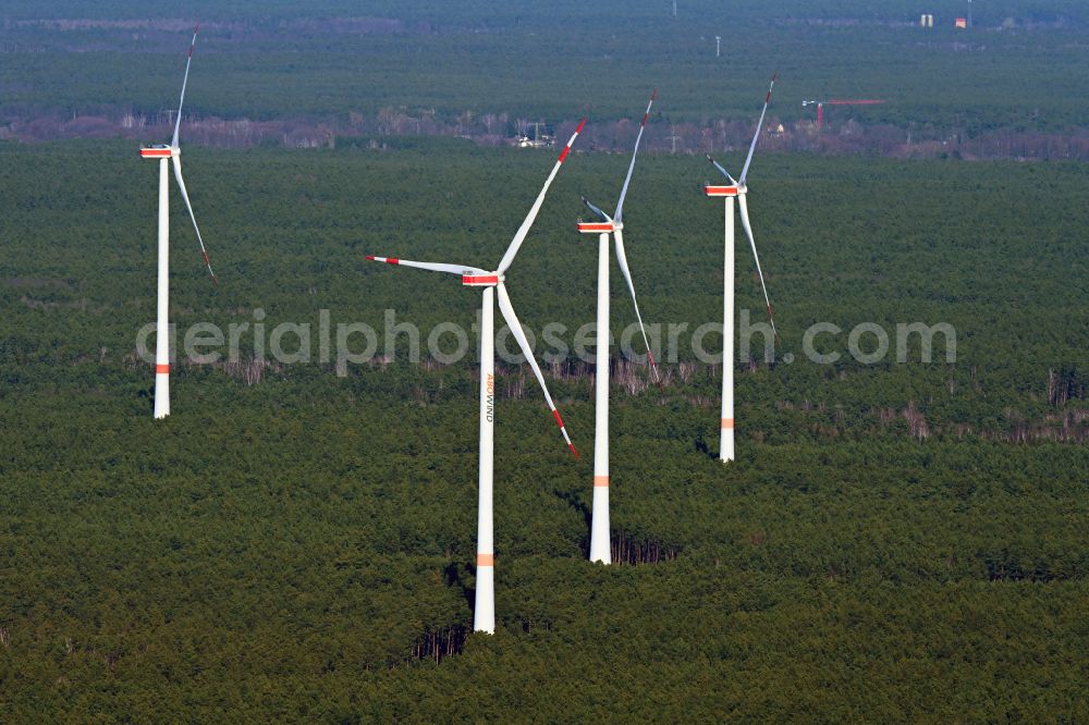 Spreenhagen from the bird's eye view: Wind turbines ( WTG ) with wind turbines of the Uckley wind farm in a forest area in Spreenhagen in the state Brandenburg, Germany