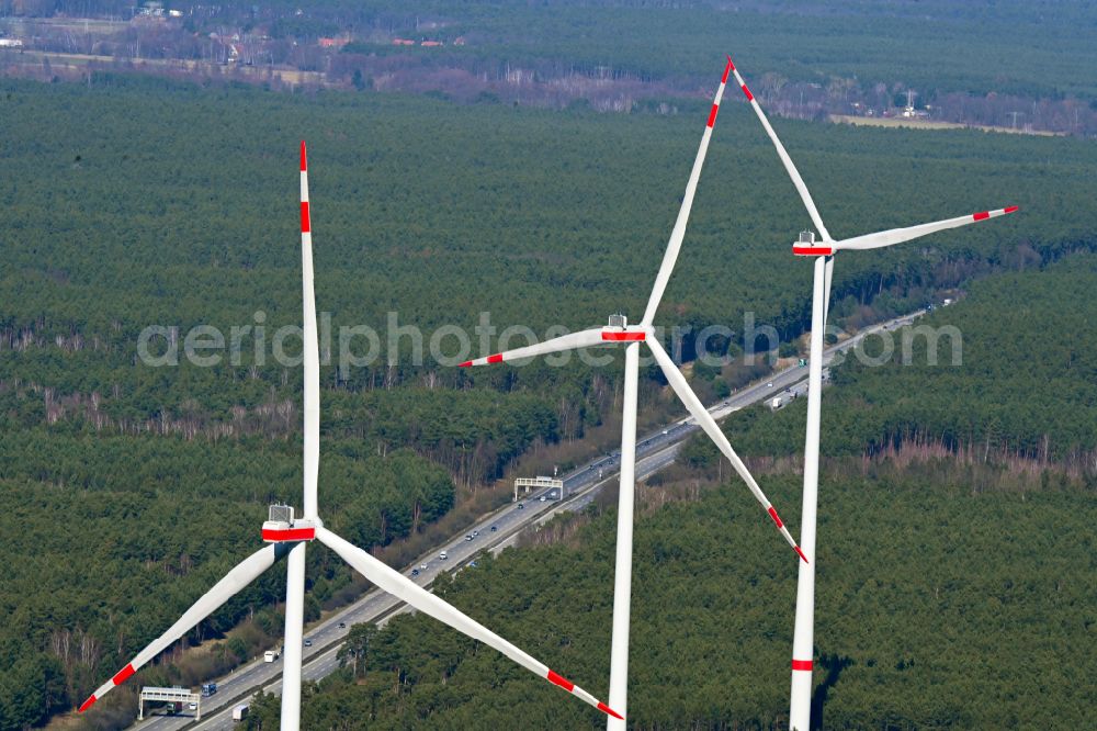 Spreenhagen from above - Wind turbines ( WTG ) with wind turbines of the Uckley wind farm in a forest area in Spreenhagen in the state Brandenburg, Germany