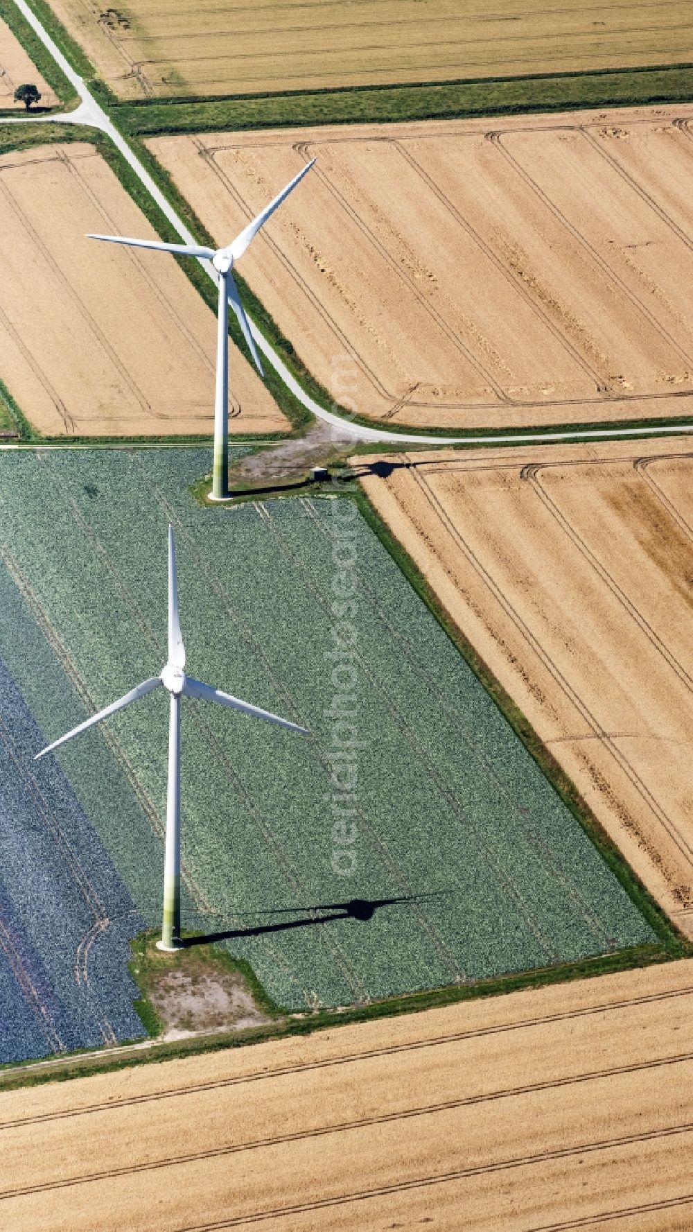 Aerial image Brokreihe - Wind turbine windmills on a field in Brokreihe in the state Schleswig-Holstein, Germany