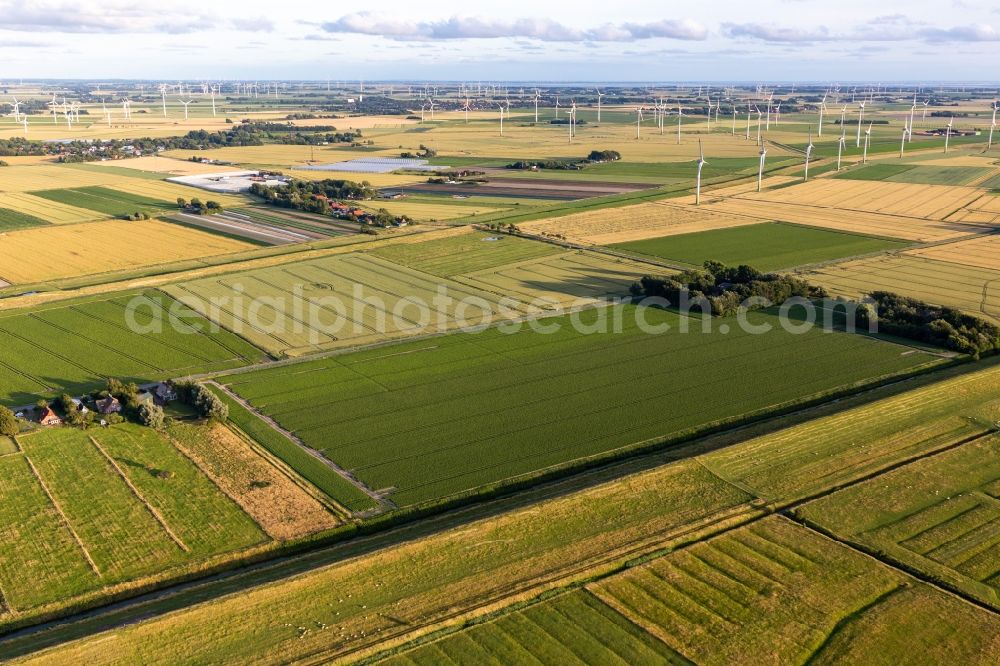 Aerial image Schülp - Wind turbine windmills on a field in Schuelp in the state Schleswig-Holstein, Germany