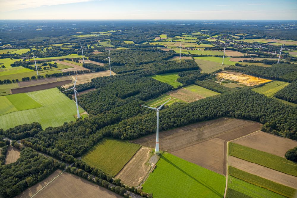 Haltern am See from the bird's eye view: wind turbine windmills (WEA) in a forest area in Haltern am See in the state North Rhine-Westphalia, Germany