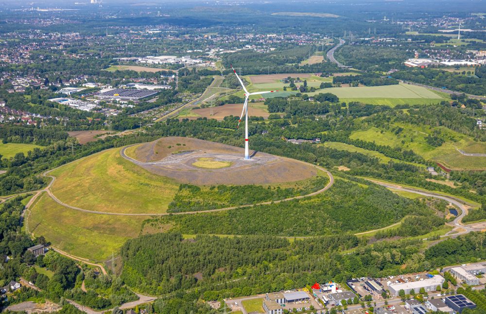 Gladbeck from the bird's eye view: Wind turbine installation on the overburden dump hill of the Mottbruchhalde in Gladbeck at Ruhrgebiet in the state North Rhine-Westphalia, Germany