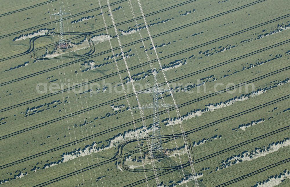 Gotha from above - Young green-colored grain field structures and rows in a field in Gotha in the state Thuringia, Germany
