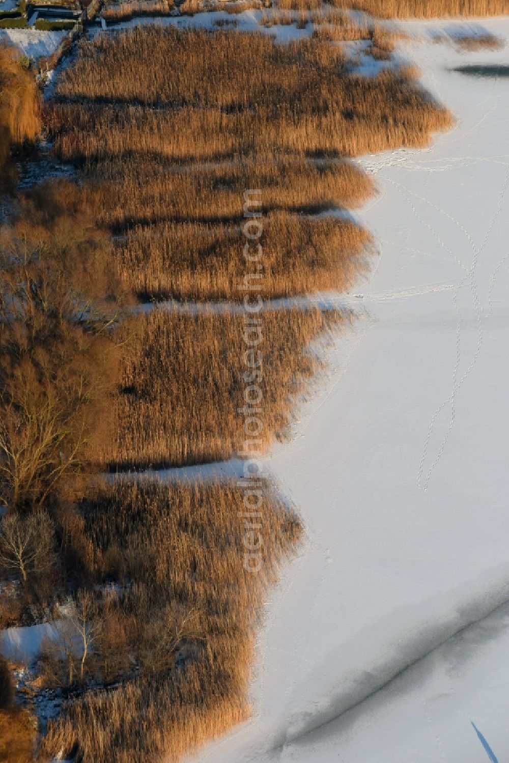 Aerial image Päwesin - Wintry snow and ice-covered surfaces of the reed sea shore areas in Bollmannsruh in Brandenburg