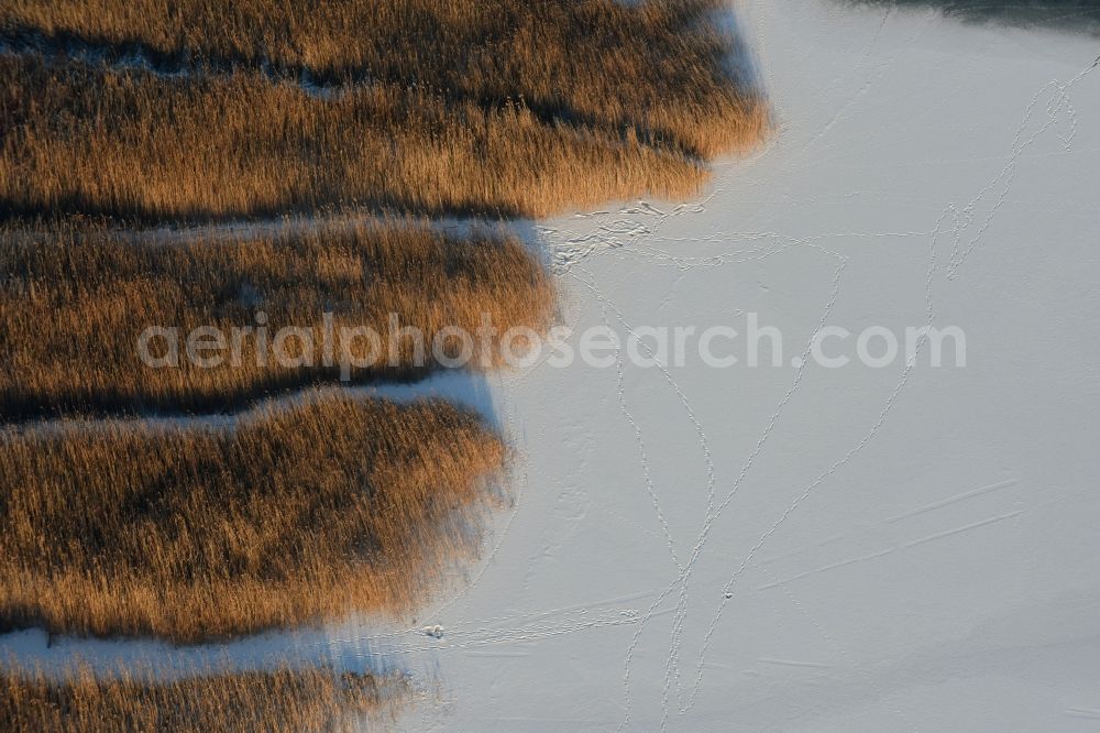 Aerial image Päwesin - Wintry snow and ice-covered surfaces of the reed sea shore areas in Bollmannsruh in Brandenburg