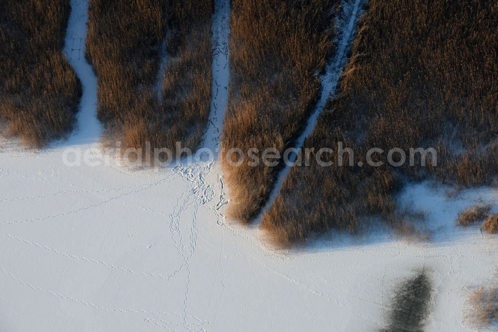 Päwesin from the bird's eye view: Wintry snow and ice-covered surfaces of the reed sea shore areas in Bollmannsruh in Brandenburg