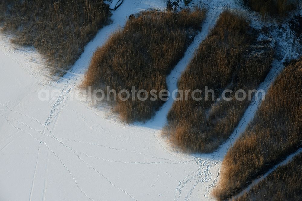 Aerial photograph Päwesin - Wintry snow and ice-covered surfaces of the reed sea shore areas in Bollmannsruh in Brandenburg