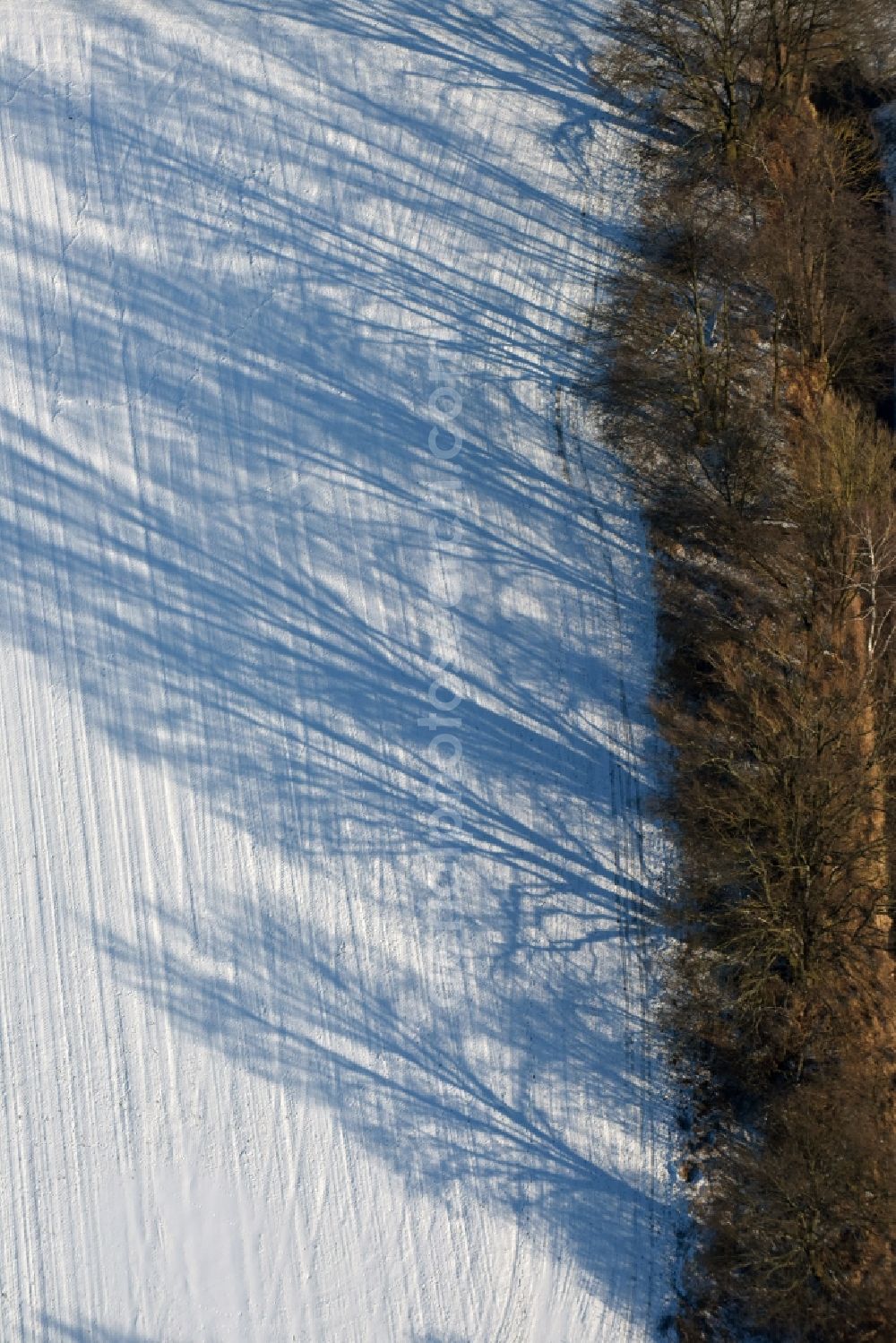 Aerial image Roskow - Winterly snowy rows with asparagus growing on field surfaces with irrigation ditch and line of trees casting long shadows in Roskow in the state Brandenburg