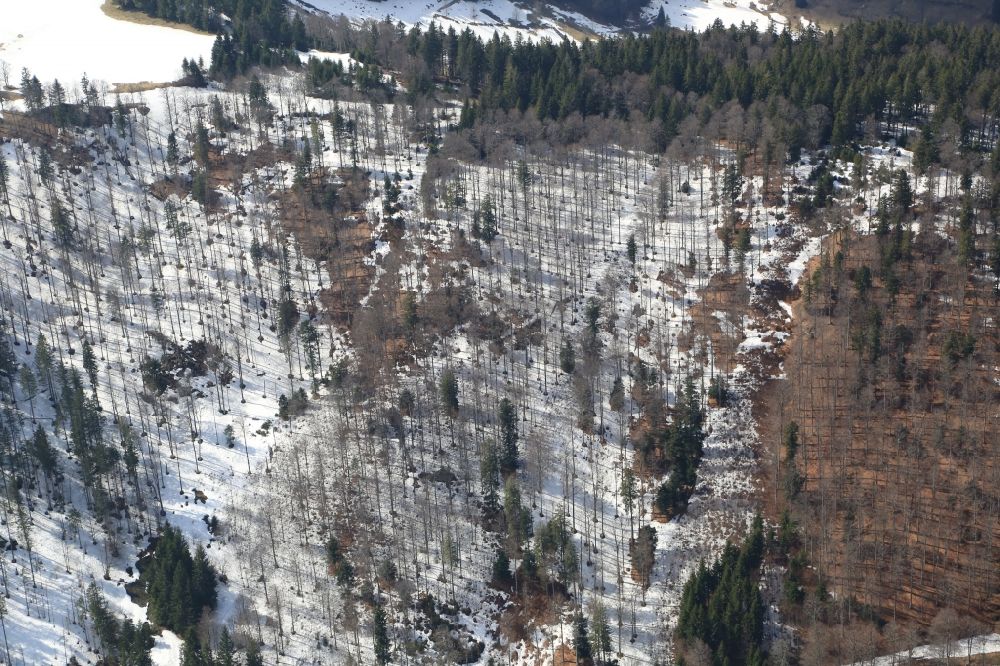Aerial photograph Oberried - Wintery snow- covered structures and forests in Oberried in the state Baden-Wuerttemberg