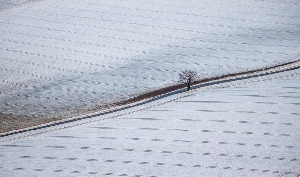 Berlingsen from the bird's eye view: Wintry snowy tree on a field in Berlingsen in the state North Rhine-Westphalia, Germany