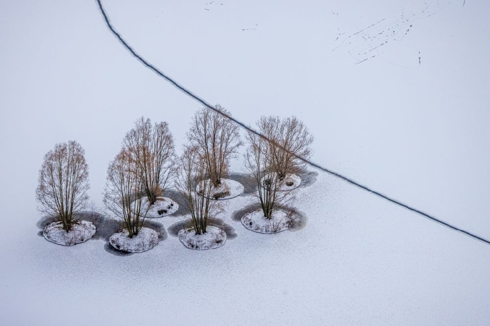 Dortmund from the bird's eye view: Wintry snowy island of trees in a zugefrorenen Phoeniox See in the district Hoerde in Dortmund at Ruhrgebiet in the state North Rhine-Westphalia, Germany