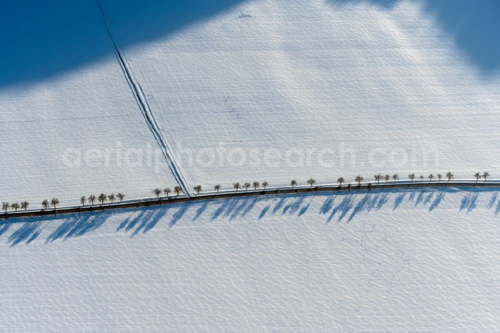 Aerial photograph Tilleda (Kyffhäuser) - Wintry snowy tree with shadow forming by light irradiation on a field in Tilleda (Kyffhaeuser) in the state Saxony-Anhalt, Germany