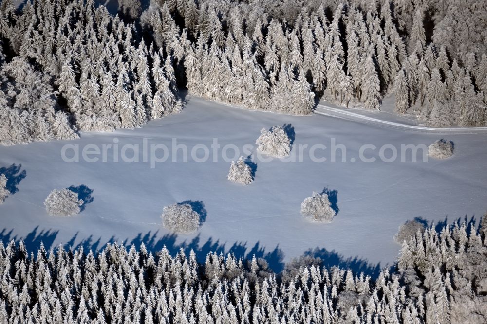 Aerial image Gersfeld (Rhön) - Winter snow-covered tree with shadows caused by light radiation on a clearing in Gersfeld (Rhoen) in the state Hesse, Germany