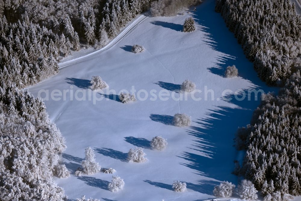 Gersfeld (Rhön) from above - Winter snow-covered tree with shadows caused by light radiation on a clearing in Gersfeld (Rhoen) in the state Hesse, Germany