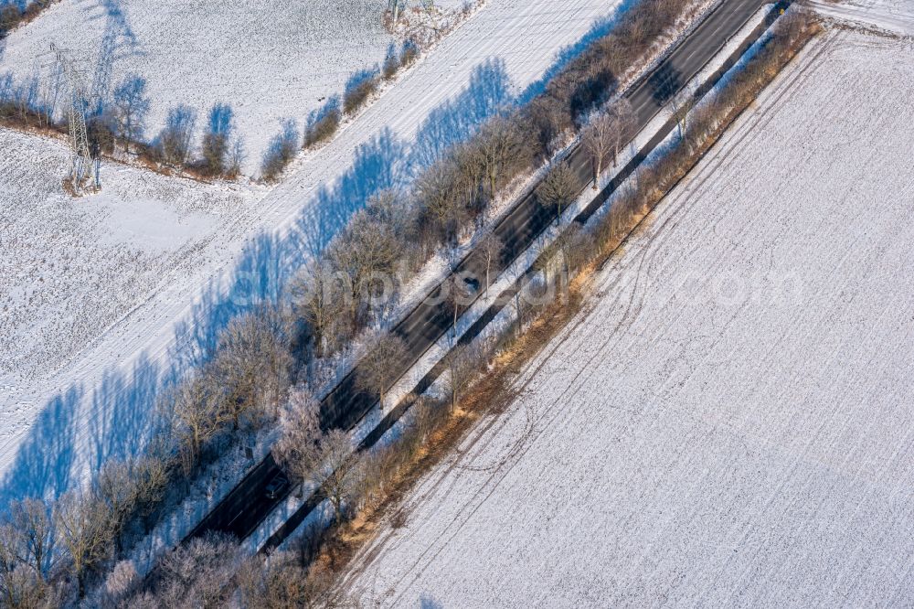 Deinste from above - Wintry snowy row of trees on a country road on a field edge in Deinste in the state Lower Saxony, Germany