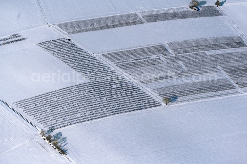 Dettelbach from the bird's eye view: Wintry snowy row of trees on fields in Dettelbach in the state Bavaria, Germany