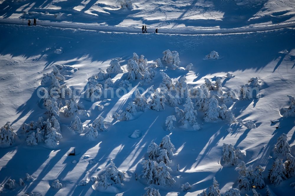 Aerial photograph Schierke - Wintry snowy treetops in a wooded area in Schierke in the Harz in the state Saxony-Anhalt, Germany