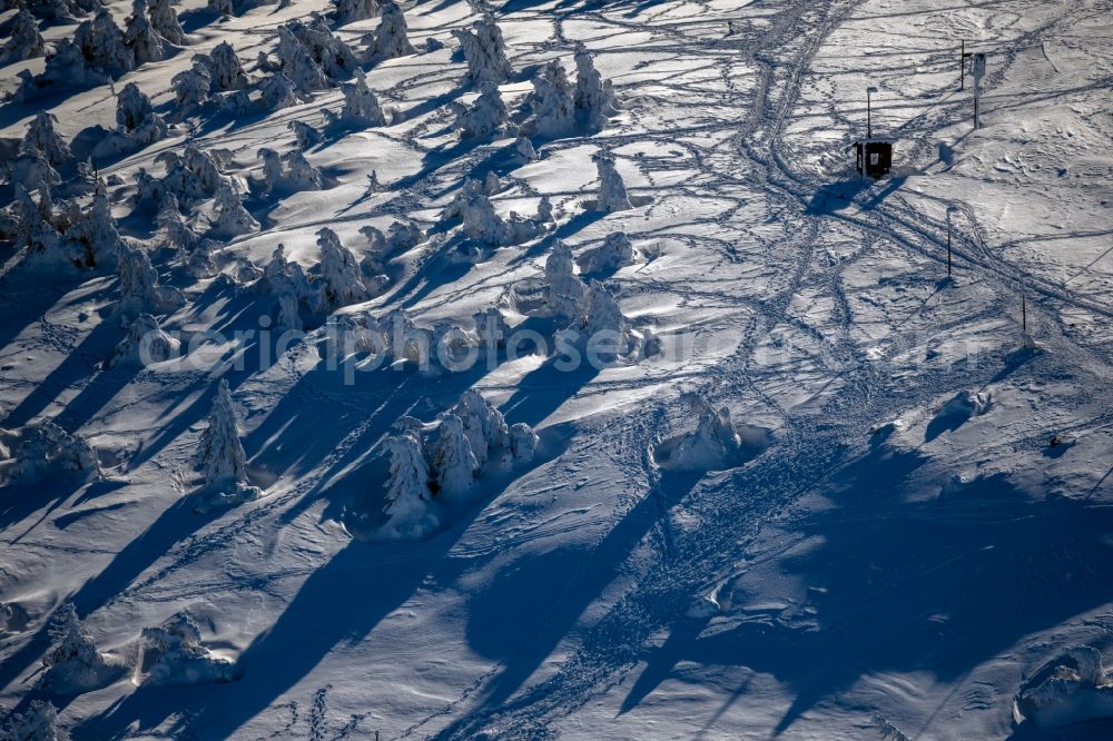 Schierke from above - Wintry snowy treetops in a wooded area in Schierke in the Harz in the state Saxony-Anhalt, Germany