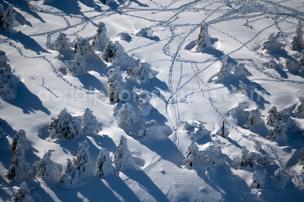 Aerial photograph Schierke - Wintry snowy treetops in a wooded area in Schierke in the Harz in the state Saxony-Anhalt, Germany