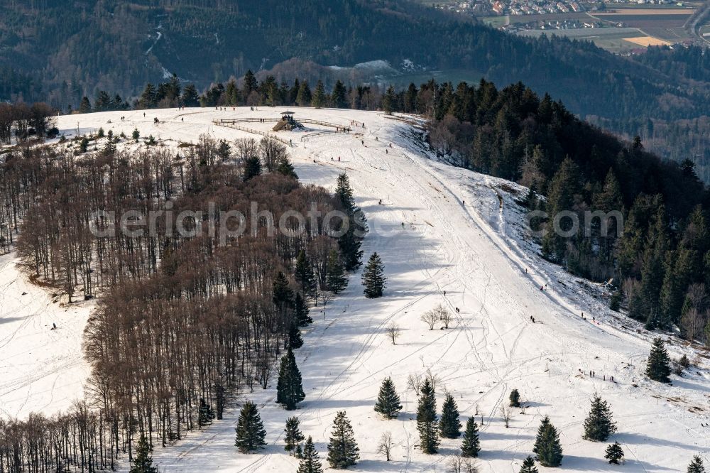 Waldkirch from above - Wintry snowy rock and mountain landscape Berggipfel of Kandel in Waldkirch in the state Baden-Wurttemberg, Germany