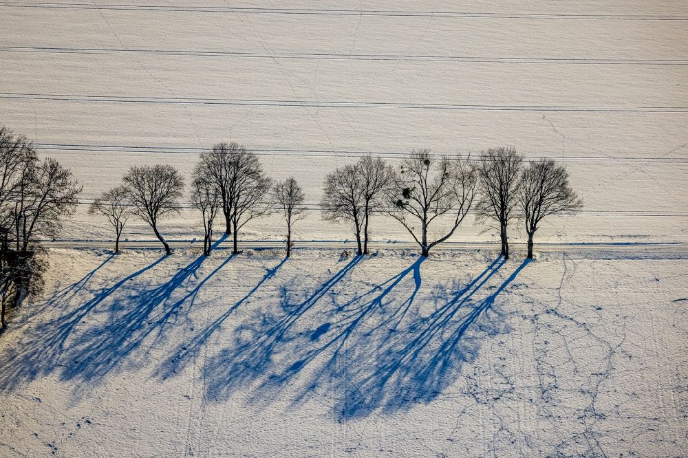 Hamm from above - Wintry snowy animal tracks imprinted path structures on a row of trees on agricultural fields in the district Norddinker in Hamm at Ruhrgebiet in the state North Rhine-Westphalia, Germany