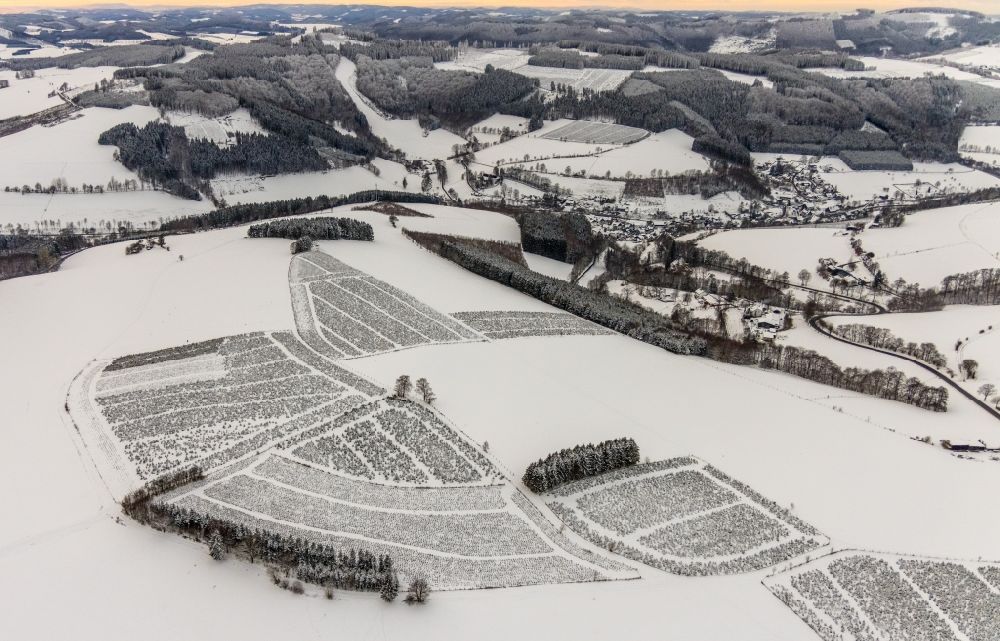 Aerial image Olsberg - Wintry snowy agricultural fields with adjacent forest and forest areas in the district Elpe in Olsberg at Sauerland in the state North Rhine-Westphalia, Germany