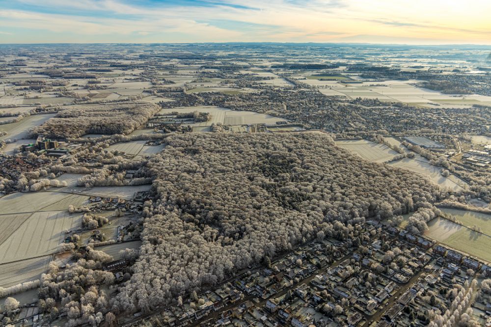 Aerial image Hamm - Wintry snowy forest areas in in the district Caldenhof in Hamm at Ruhrgebiet in the state North Rhine-Westphalia, Germany