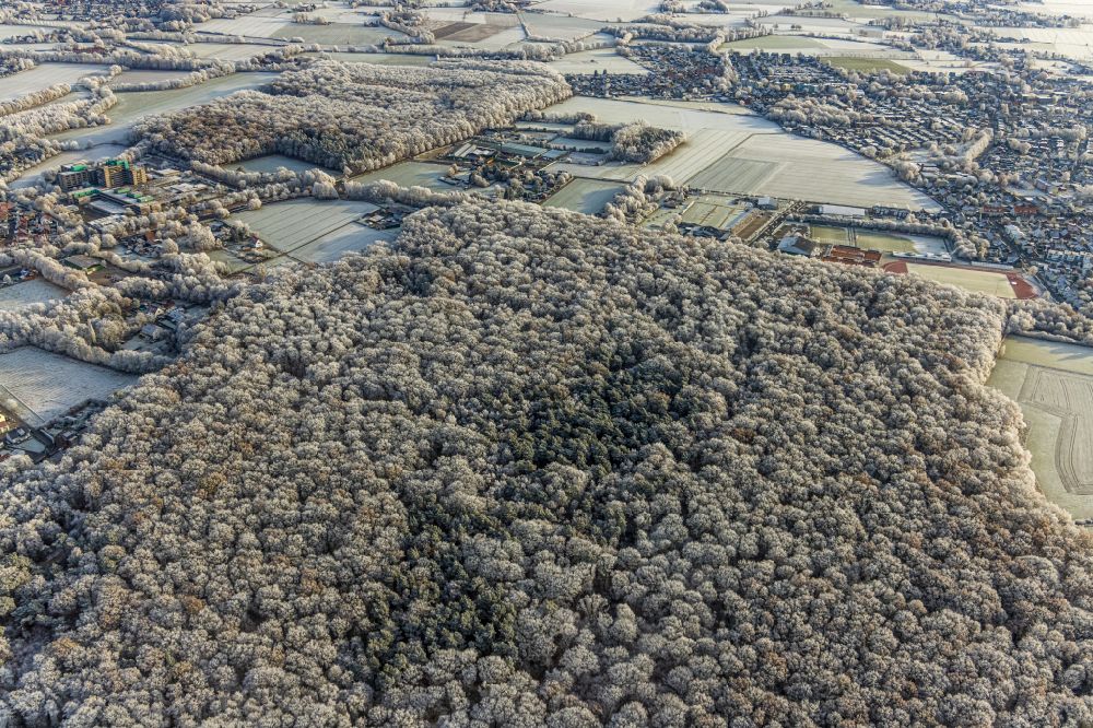 Aerial photograph Hamm - Wintry snowy forest areas in in the district Caldenhof in Hamm at Ruhrgebiet in the state North Rhine-Westphalia, Germany