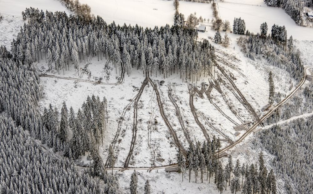 Schmallenberg from the bird's eye view: Wintry snowy forest areas in in Schmallenberg at Sauerland in the state North Rhine-Westphalia, Germany