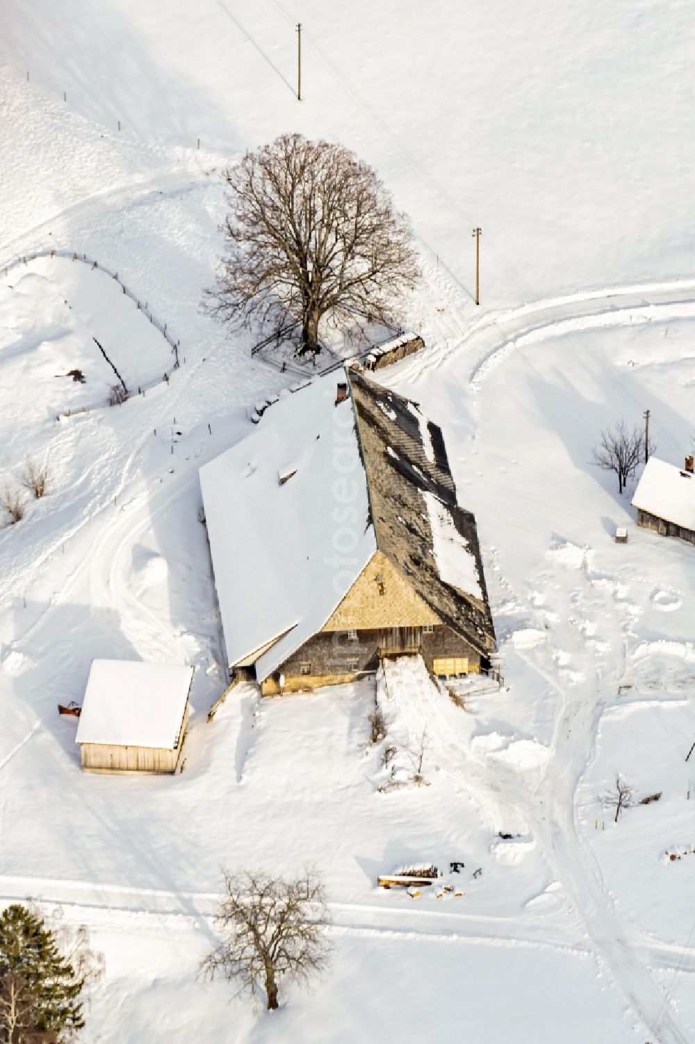 Oberried from above - Wintry snowy homestead and farm outbuildings on the edge of agricultural fields Schwarzwaldhof in Oberried in the state Baden-Wuerttemberg, Germany