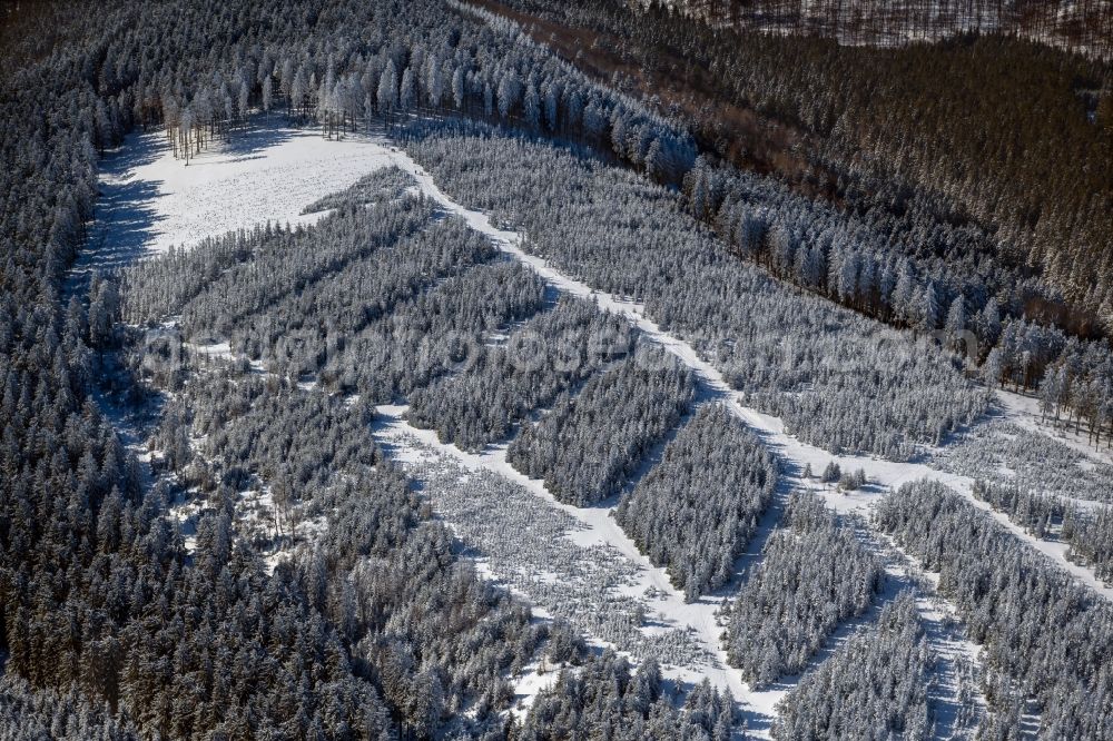 Aerial image Lenneplätze - Wintry snow-covered geometric shapes, structures and outlines through afforestation and reforestation in a coniferous forest area in Lenneplatz in the Sauerland in the state of North Rhine-Westphalia, Germany