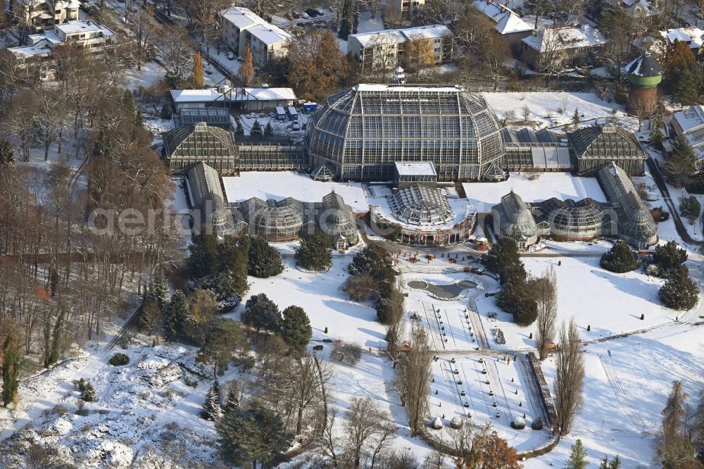 Aerial photograph Berlin - Wintry snowy main building and greenhouse complex of the Botanical Gardens Berlin-Dahlem in Berlin. The historical glass buildings and greenhouses are dedicated to different areas. The Large Tropical House and the Victoria-House are located in the center