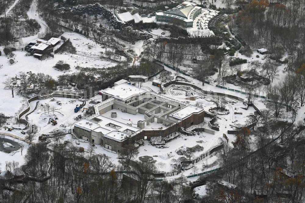 Aerial image Berlin - Wintry snowy construction site for reconstruction and modernization and renovation of a building Pachyderm house in the zoo on street Am Tierpark in the district Friedrichsfelde in Berlin, Germany