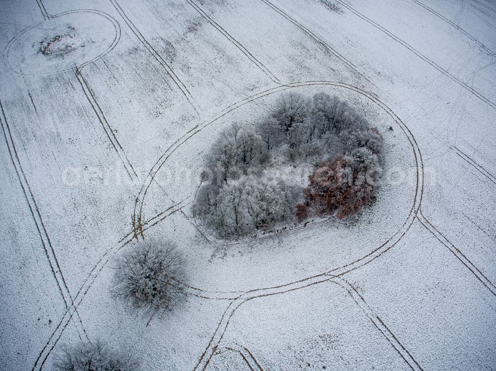 Aerial image Gadebusch - Wintry snowy field edge of a target biotope in the field surface in Gadebusch in the state Mecklenburg - Western Pomerania, Germany