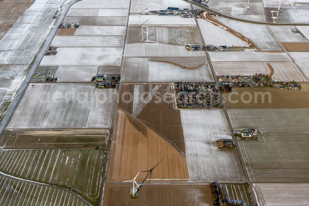 Aerial image Kaiser-Wilhelm-Koog - Wintry snowy structures on agricultural fields at the North Sea coast in Kaiser-Wilhelm-Koog in the state Schleswig-Holstein, Germany