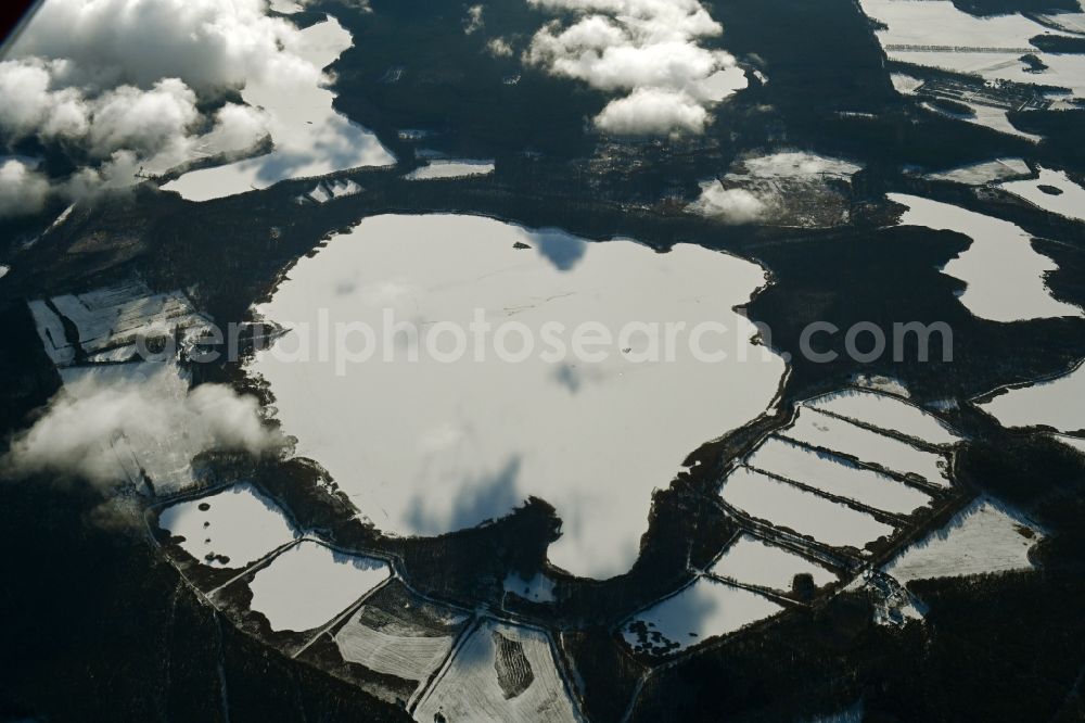 Rechlin from above - Wintry snowy riparian areas on the lake area of Woterfitzsee in a forest area in Rechlin in the state Mecklenburg - Western Pomerania, Germany