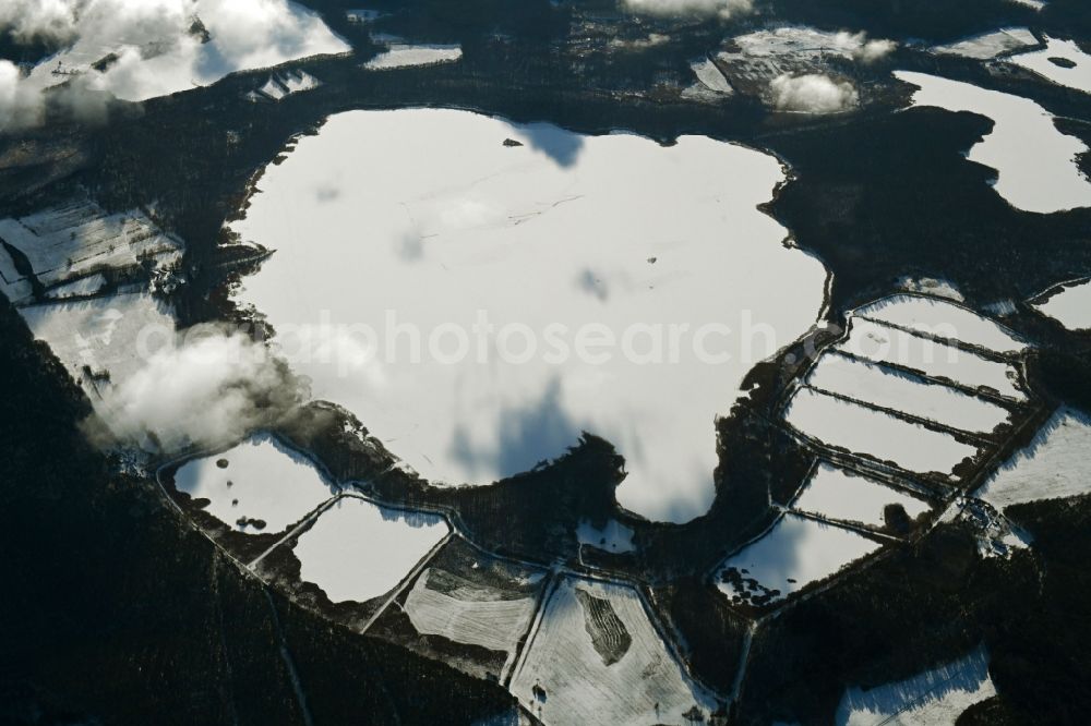 Aerial image Rechlin - Wintry snowy riparian areas on the lake area of Woterfitzsee in a forest area in Rechlin in the state Mecklenburg - Western Pomerania, Germany