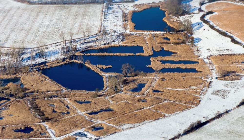 Aerial image Mühlenbecker Land - Wintry snowy shore areas of the ponds for fish farming Schoenerlinder Teiche in Moenchmuehle in the state Brandenburg