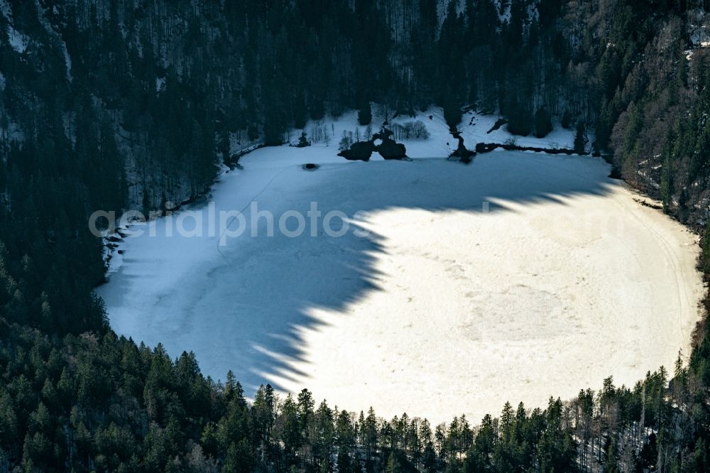 Aerial image Hinterzarten - Wintry snowy and icy areas on the lake Feldsee in Feldberg (Schwarzwald) Black Forest in the state Baden-Wuerttemberg