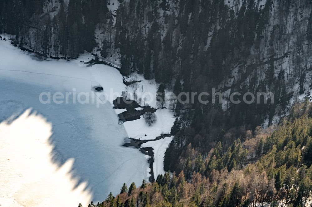 Aerial image Hinterzarten - Wintry snowy and icy areas on the lake Feldsee in Feldberg (Schwarzwald) Black Forest in the state Baden-Wuerttemberg