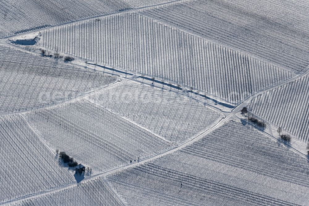 Dettelbach from the bird's eye view: Wintry snowy fields of wine cultivation landscape in Dettelbach in the state Bavaria, Germany