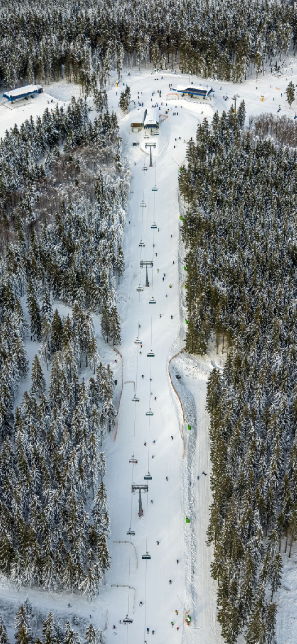 Aerial photograph Winterberg - Aisle and downhill slope in the winter sports ski area on street Am Waltenberg in Winterberg at Sauerland in the state North Rhine-Westphalia, Germany