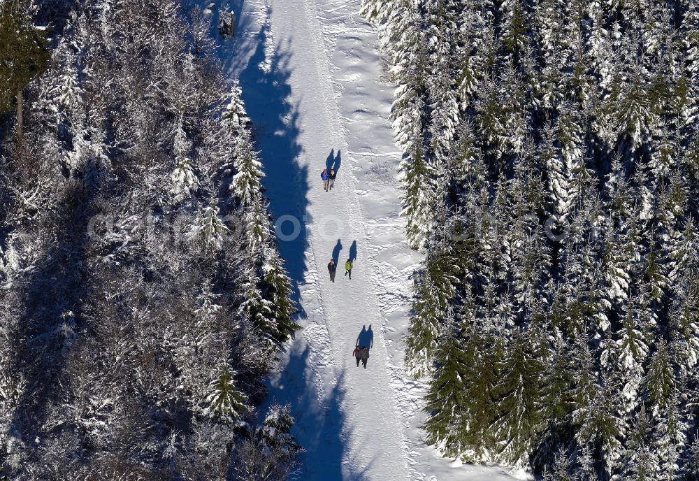 Aerial photograph Hessisch Lichtenau - Witer walker between wintry snowy treetops in a wooded area in Hessisch Lichtenau in the state Hesse