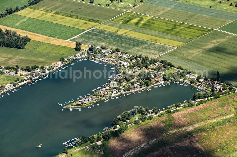 Eich from the bird's eye view: Weekend camping and Beach areas of the Lake of Eich at the river Rhine in Eich in the state Rhineland-Palatinate
