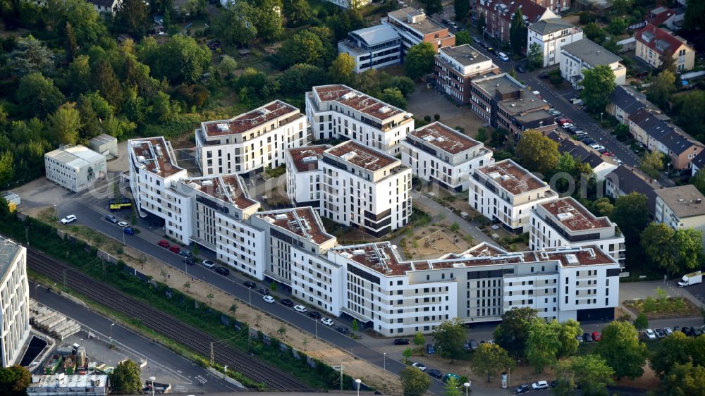 Bonn from the bird's eye view: Residential complex in Bonn-Kessenich in the Albert-Fischer-Strasse, Gerhard-Samuel-Strasse area in the state North Rhine-Westphalia, Germany